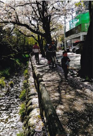 写真：山田　マサ子さん作「私達の散歩道」（六郷用水）