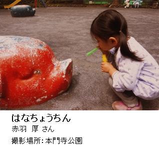 写真：優秀賞作品「はなちょうちん」