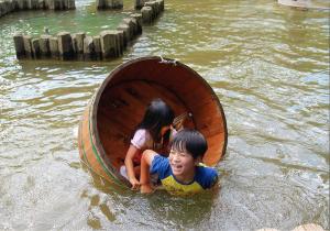 写真：飯野　聡子さん作「落っこちる～！」（平和の森公園）