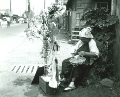 写真：むかしの羽田の様子5