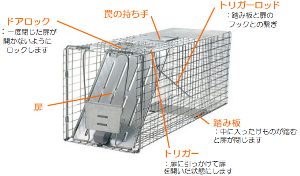 写真：箱型のわな