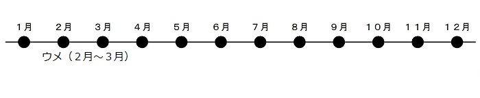 うめが2がつから3がつにさきます。