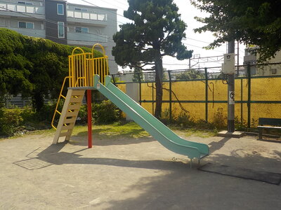 suberidai