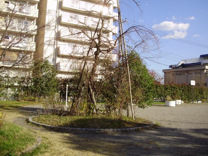 写真：公園の様子・その1