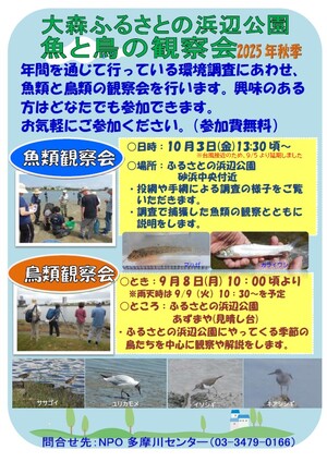 魚と鳥の観察会のお知らせ