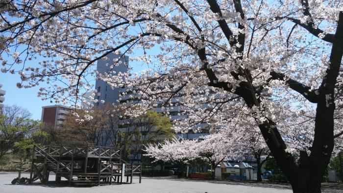 写真：公園の様子・その1