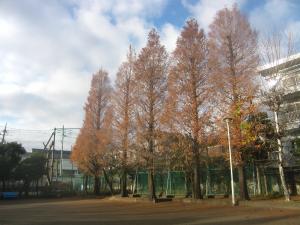 写真：公園の様子・その2