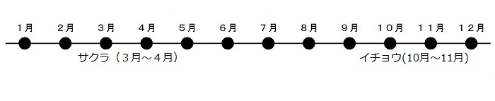 さくらが3がつから4がつにさきます。いちょうが10がつから11がつにこうようします。