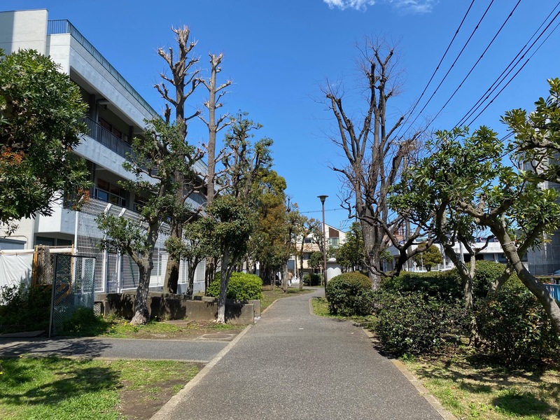 写真：公園の様子・その1