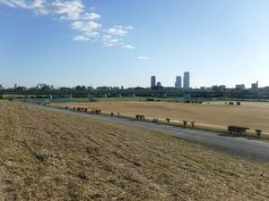 球技場
